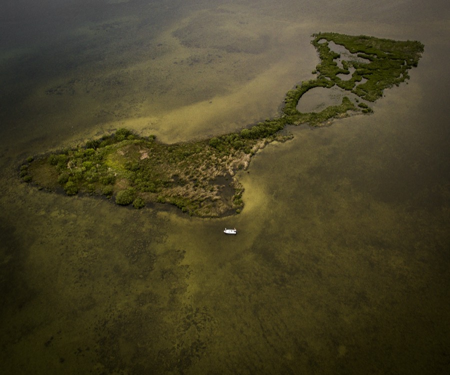 Aerial view of a skiff anchored off a mangrove island in shallow green water