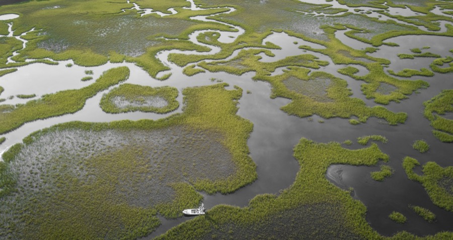 Aerial view of a skiff in the winding creeks of a tidal marsh